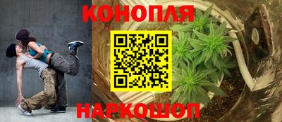 крисы Ярцево